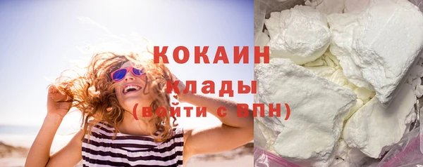 PSILOCYBIN Козловка
