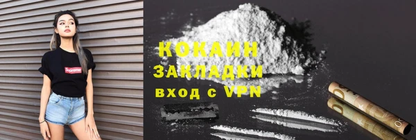 PSILOCYBIN Козловка