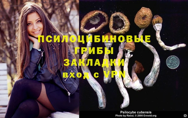 PSILOCYBIN Козловка