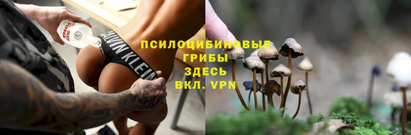PSILOCYBIN Козловка