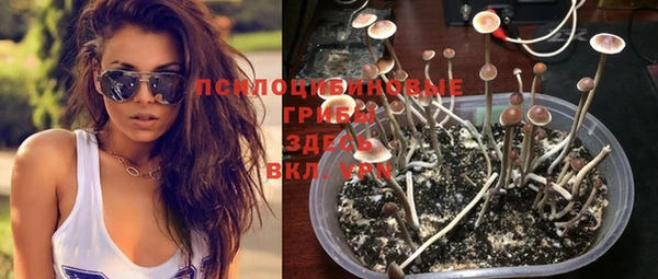 сатива Кодинск